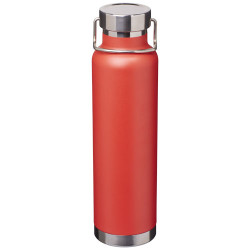 Termosica 650ml