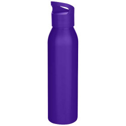 Termo bočica 650 ml
