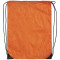 Torba s vezicom