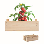 Komplet za uzgoj rajčica
