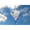 Dječji zmaj